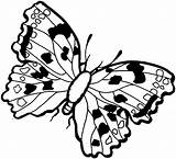 Butterfly Coloring Pages Disney sketch template