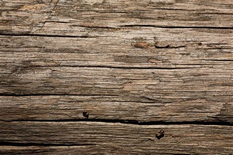 dry  wood texture wild textures wood texture  wood texture
