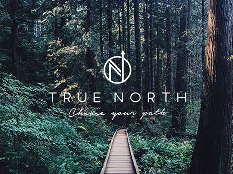 true north brand development rosy