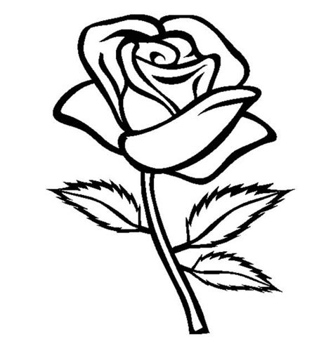 rose   leaves coloring page  print  coloring