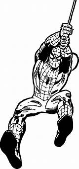 Wecoloringpage Spiderman sketch template