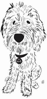 Goldendoodle Labradoodle Pups Goldendoodles Cockapoo Raises Zeichnungen Malen Doodles Profit sketch template