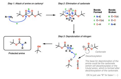 amine protection  deprotection master organic chemistry