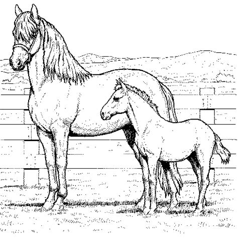horse coloring pages coloringpagescom