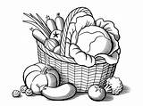 Vegetables Basket Clipart Drawing Fruits Line Vegetable Vector Illustration Stylized Food Drawings Stock Coloring Clipartmag Shutterstock Cabbage Getdrawings Clipground Royalty sketch template
