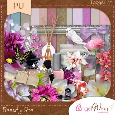 designz  shelly ct tags  angel wings scraps beauty spa  ftu