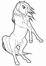 Stallion Getcolorings Cimarron Horses Impressive sketch template