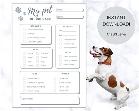 pet report card printable pet sitter form dog walker report form pet