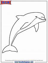 Dolphin Pink Coloring Pages Colouring Bacheca Scegli Una Printablecolouringpages 출처 sketch template