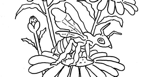coloring pages  kids   adron bee  flower printable coloring page