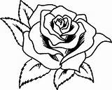 Trandafiri Desene Colorat sketch template