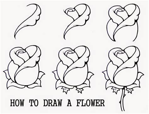 draw  flower easy step  step learn  draw  paint