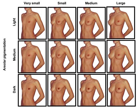 Are Bigger Breasts Best Dr Robert Burriss Medium