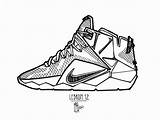 Shoes Kd Drawings Nike Paintingvalley Coloring Colori sketch template