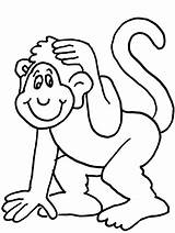 Coloring Monkey Pages Animals sketch template