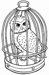 Potter Harry Owl Coloring Pages Värityskuvat Coloringpages7 Colouring Printable Random Cartoon Color Br Drawings Värityskuva Kids Print Colorir Quilt Book sketch template