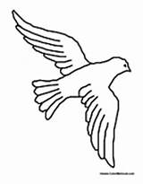 Dove Flying Coloring Pages Birds Doves sketch template