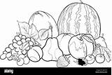 Frutas Verduras Frutta Colorare Google Vettoriale Colorir Alimentos Ilustracja Izakowski Melon Kolorowanka Grupa Drawings Flores Ilustración Getdrawings sketch template