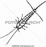 Silverfish Clipground Insect sketch template
