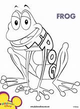 Coloring Frog Word sketch template