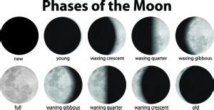 moon facts education site