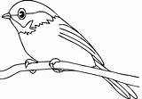 Bird Outline Clipart Coloring Drawing Clip Printable Library Pages Cute sketch template