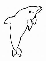 Dolphin Printable Coloring Pages Drawing Color Drawings Animal Clipart Colouring Cliparts Coloringme Whale Papan Pilih Cartoon sketch template