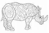 Rhino Illustration Vector Stylized Zentangle Adult Rhinoceros Animal Coloring Stock Freehand Ornamental Pen Animals Poster sketch template
