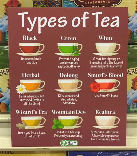 Types Of Tea U Obviousplant