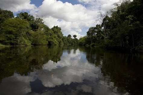 viharin  amazon rainforest  peru offers