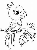 Papagei Kleurplaat Papegaai Ausmalbilder Papegaaien Malvorlage Kleurplaten Papageien Ausmalbild Parrot Persoonlijke sketch template