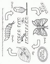Monarch Activities Bubakids Tsgos sketch template