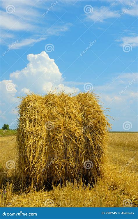 harvest time stock image image  field blue concept