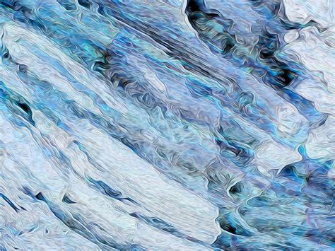 blue sea shell photograph  stephanie grant fine art america