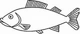Fish Coloring Pages Kids Clip Colouring Printable Color Template Sheets Outline Seaside Print Drawing 321coloringpages Getdrawings Clipground Choose Board Animal sketch template