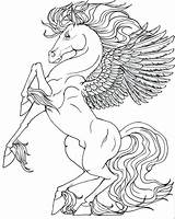 Coloring Pegasus Pages Unicorn Horse Wings Unicorns Realistic Printable Adults Colouring Kids Baby Funny Color Coloring4free Drawings Drawing Print Pony sketch template