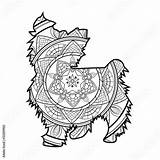 Mandala Colorare Da Coloring Dog Cane Vector Vettoriale Illustration Book Comp Contents Similar Search sketch template