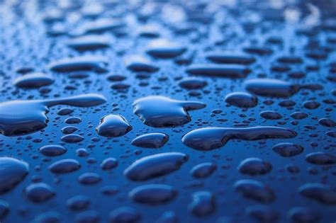 water droplets  blue surface  stock photo