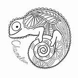 Coloring Pages Chameleon Mandala Mandalas Animals Tattoo Cute Lizard Printable Kids Simple Stock Ethnic Style Visit Outline Dreamstime Vector Kidipage sketch template
