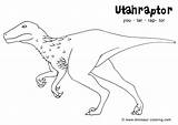 Coloring Velociraptor Pages Blue Printable Toronto Jay Getcolorings Getdrawings Colorings sketch template
