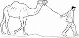 Camel Leading Coloring Man Coloringpages101 Pages sketch template