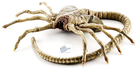 Facehugger Alien Movies Profile Notes For This Alien
