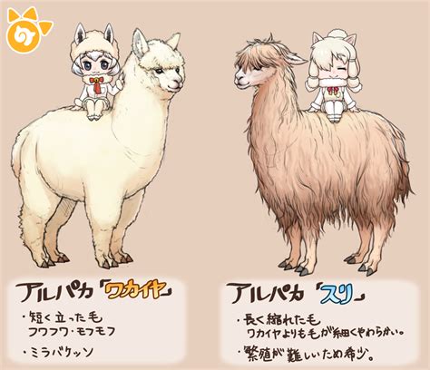 alpaca suri and alpaca huacaya kemono friends drawn by kemonomichi