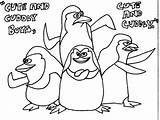 Madagascar Penguins Pinguine Ausmalbilder Printcolorcraft sketch template