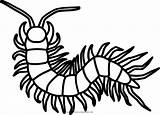 Millipede Ciempies Centipede sketch template