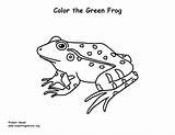 Frog Green Coloring Southern Exploringnature sketch template