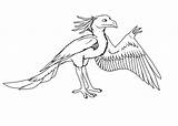 Microraptor Archaeopteryx Gliding sketch template