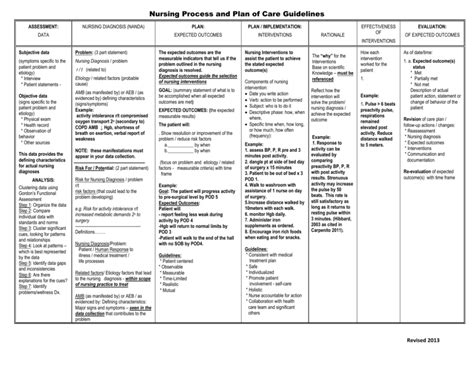 nursing process  plan  care guidelines nursing process