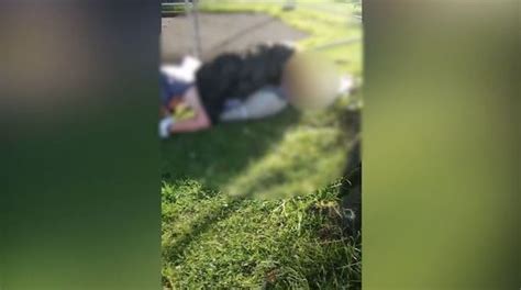moaning couple caught having sex in pearson park while families play