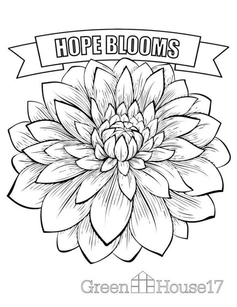 incredible easy coloring pages  seniors references thekidsworksheet
